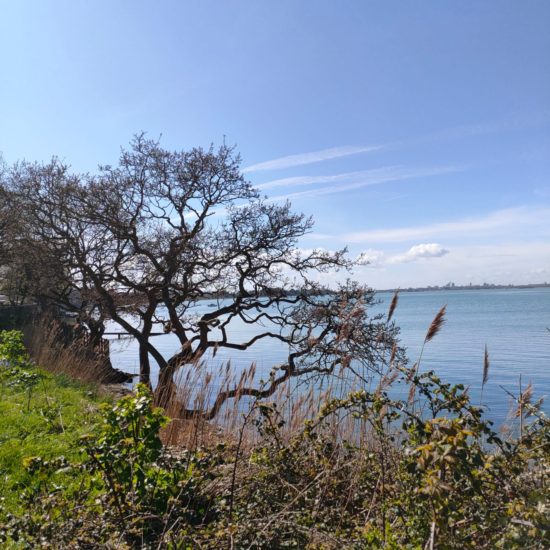 Hayling
